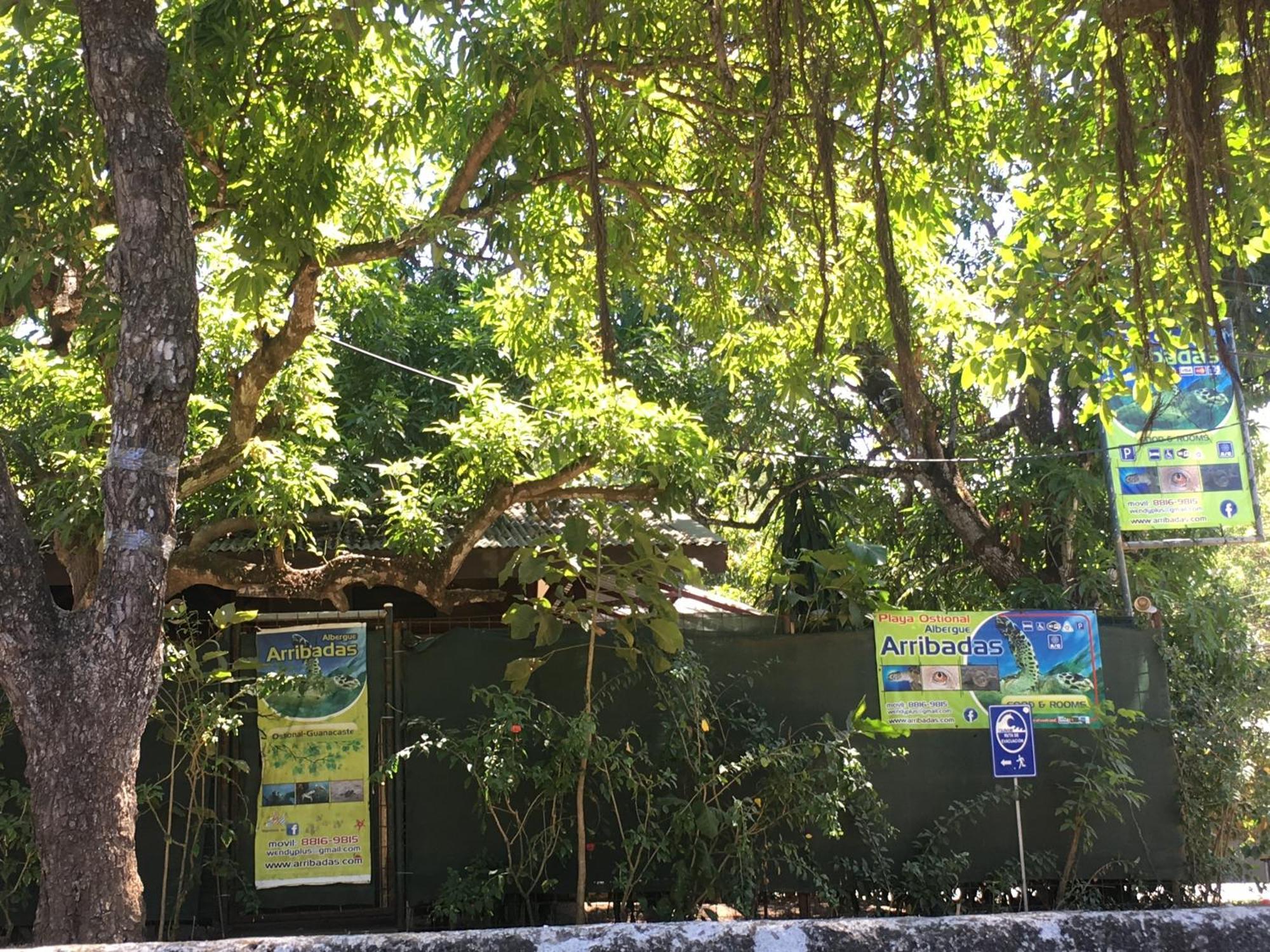 Ostional Wildlife Refuge Cabinas Surf Arribadas מראה חיצוני תמונה