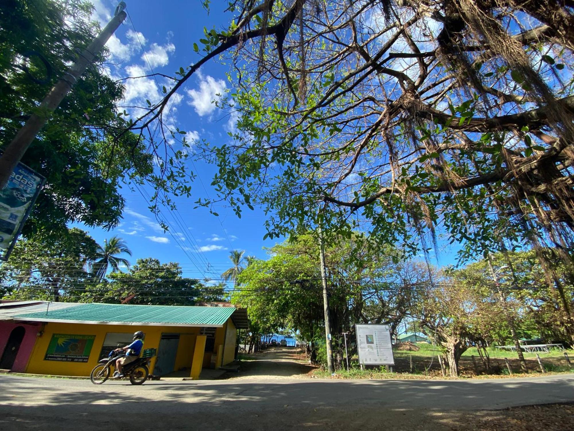 Ostional Wildlife Refuge Cabinas Surf Arribadas מראה חיצוני תמונה